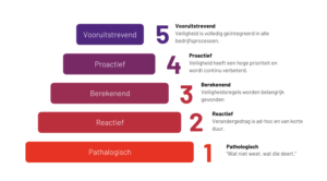 Safety Culture Ladder